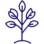 Minimalist tree root graphic representing deep-seated healing for Complex PTSD with a Faculty-level EMDR specialist.