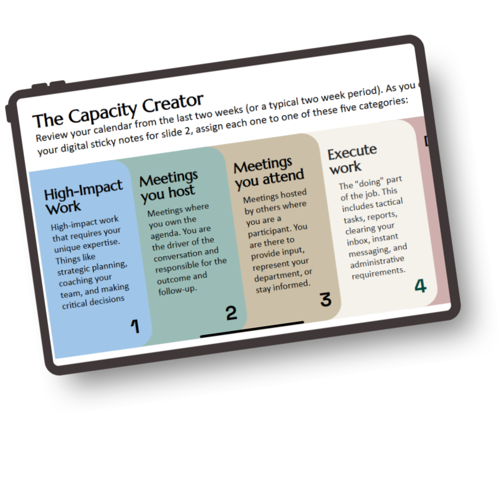 Mockup image of The Capacity Creator