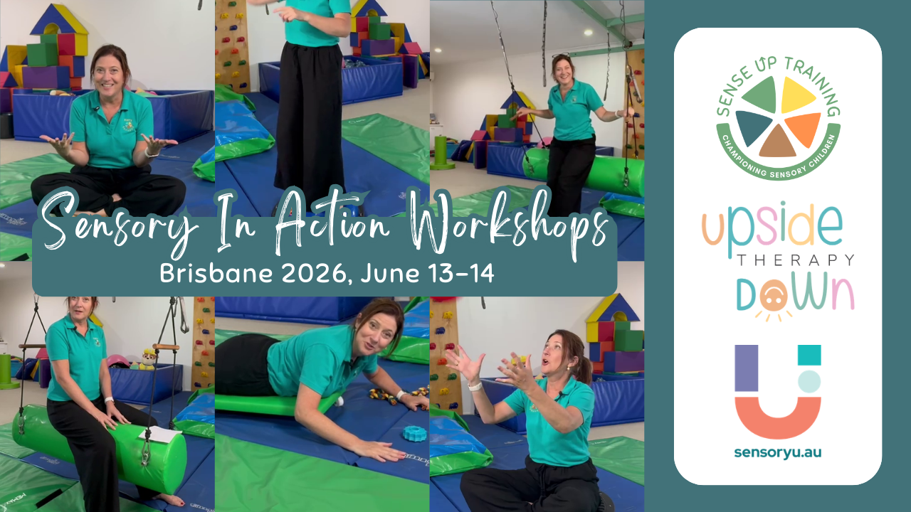 Sensory In Action Brisbane (Kerry on various Suspension and Non-Suspension Equipment)