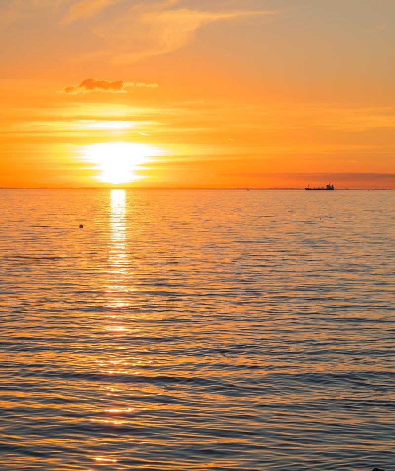 The Myth of the Healed Human