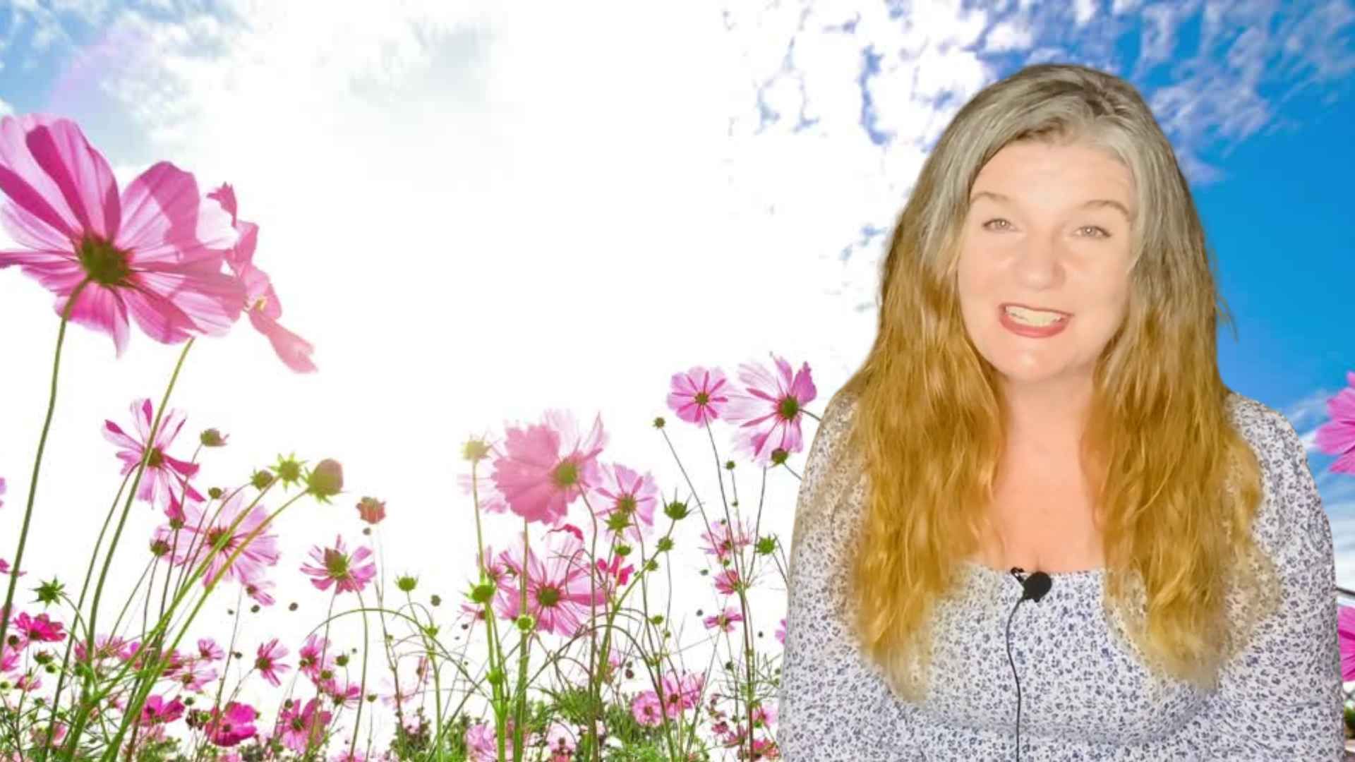 Video Poster Image