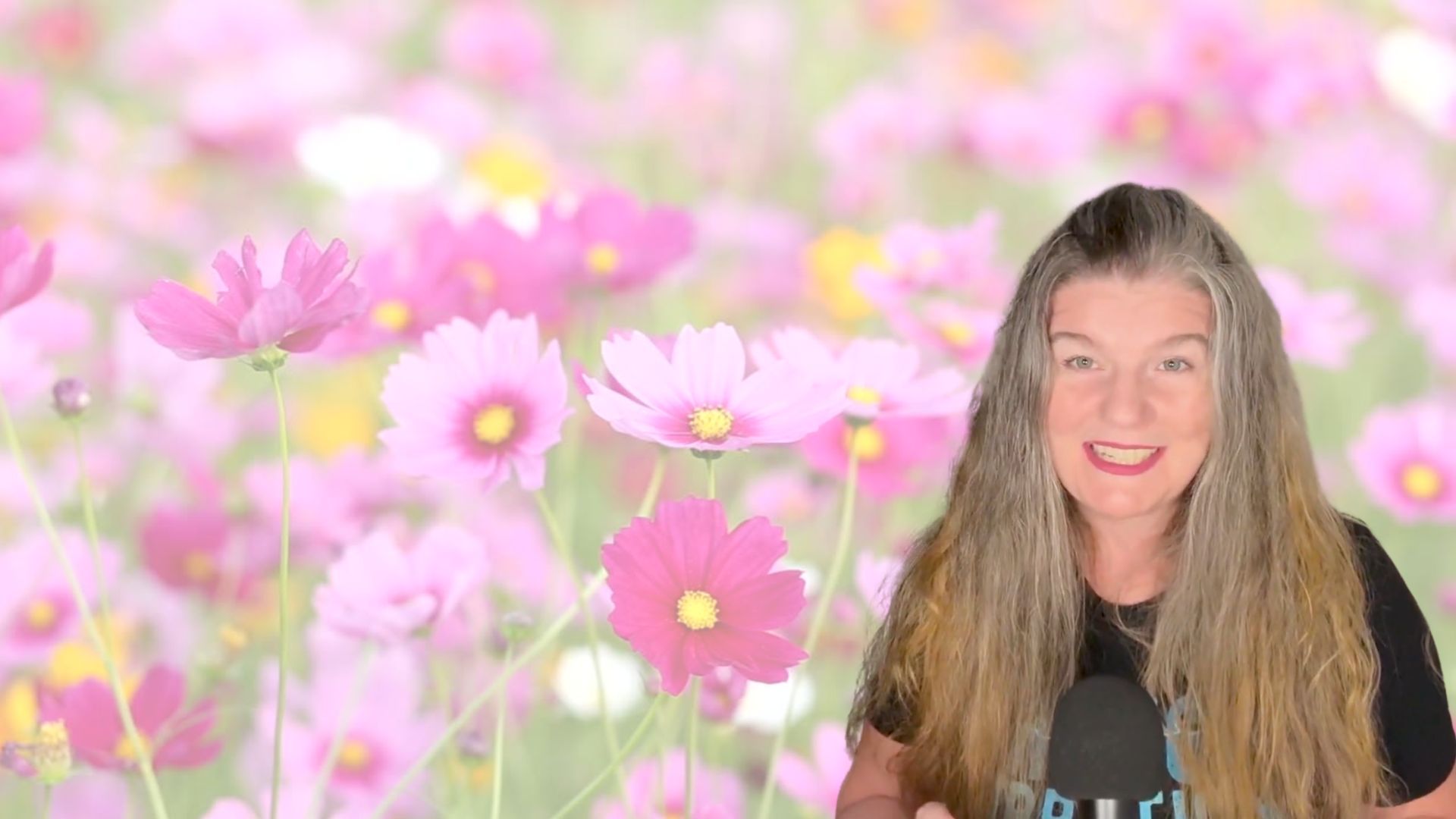 Video Poster Image