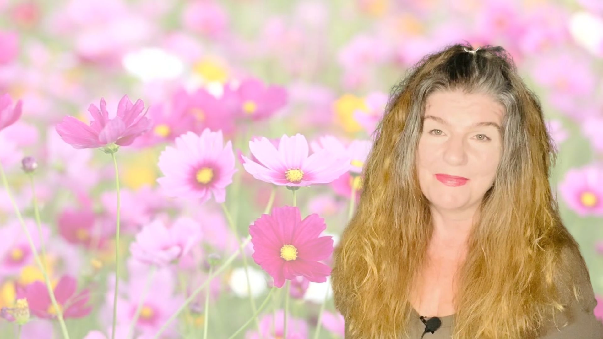 Video Poster Image