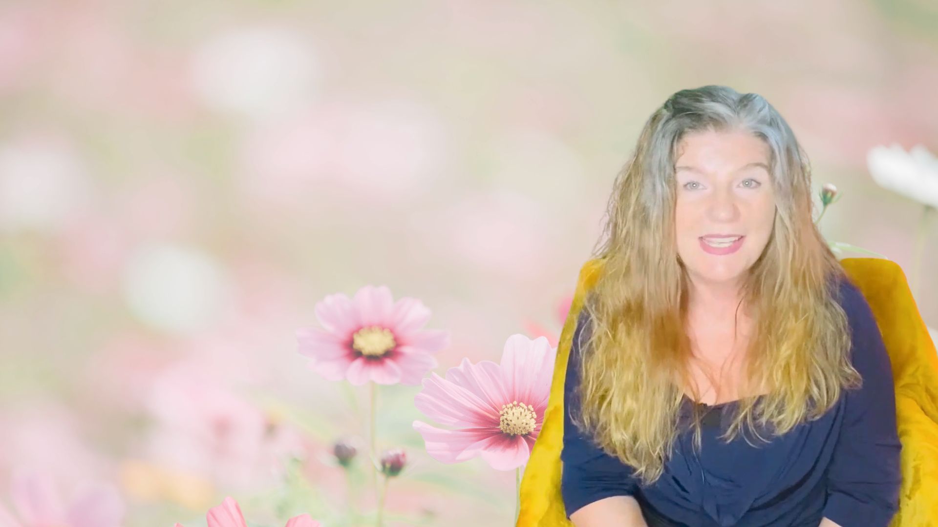 Video Poster Image