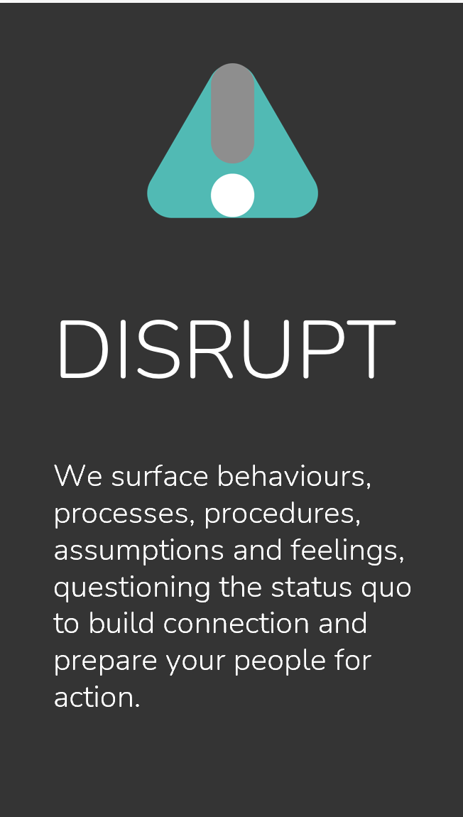 Disrupt: we surface behaviours, processes, procedures, assumptions and feelings, questioning the status quo to build connection and prepare your people for action.