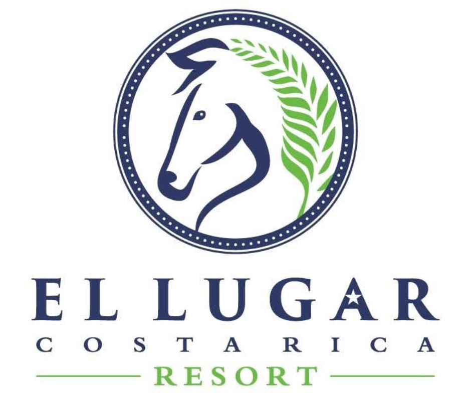 El Lugar Cockpit Link