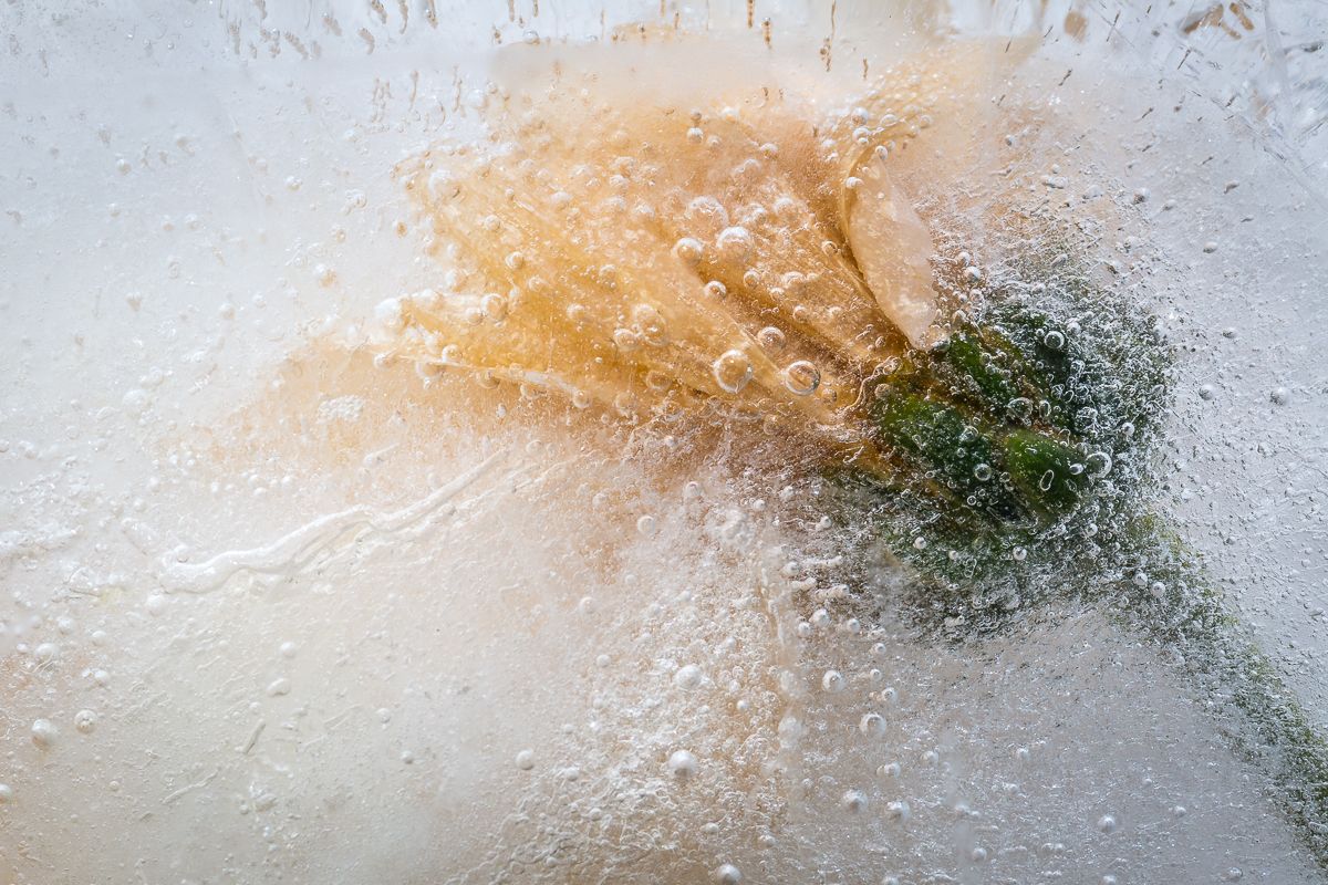 A girl posing with her hand by her face in a garden surrounded by a ring of fire circle of glowing light