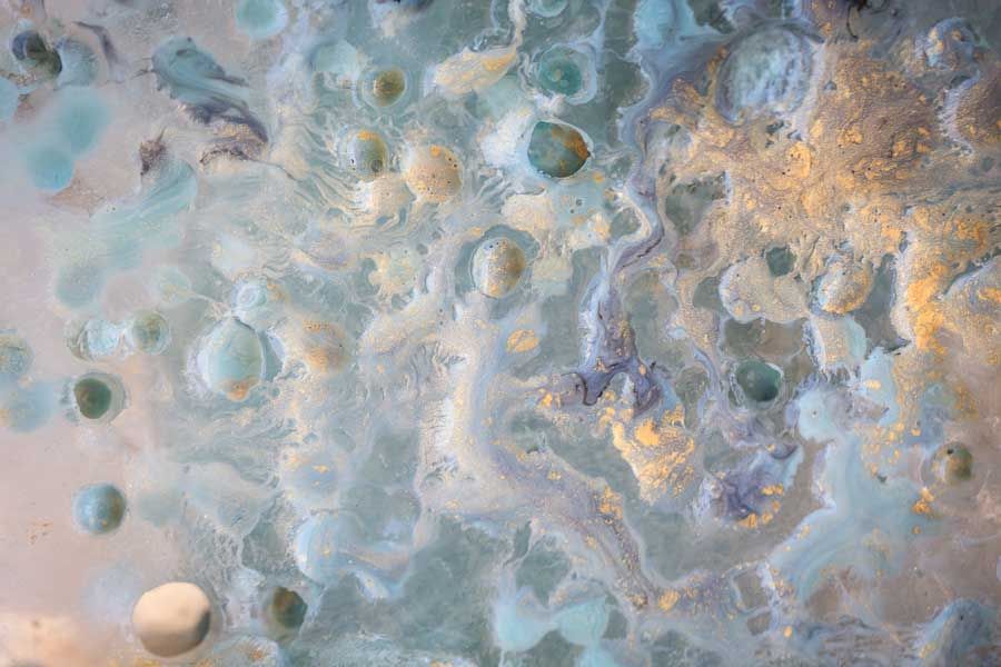 A bear stands on a log against a black background - an example of the editing technique - blackout animals