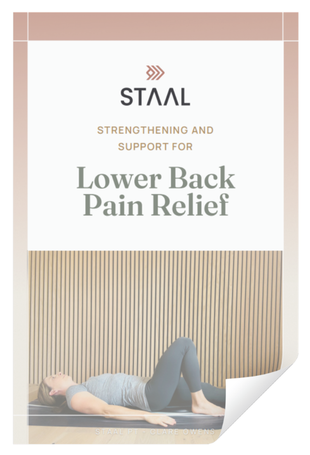 Fitness for seniors program at Staal Physical Therapy with Clare Owens free training guide