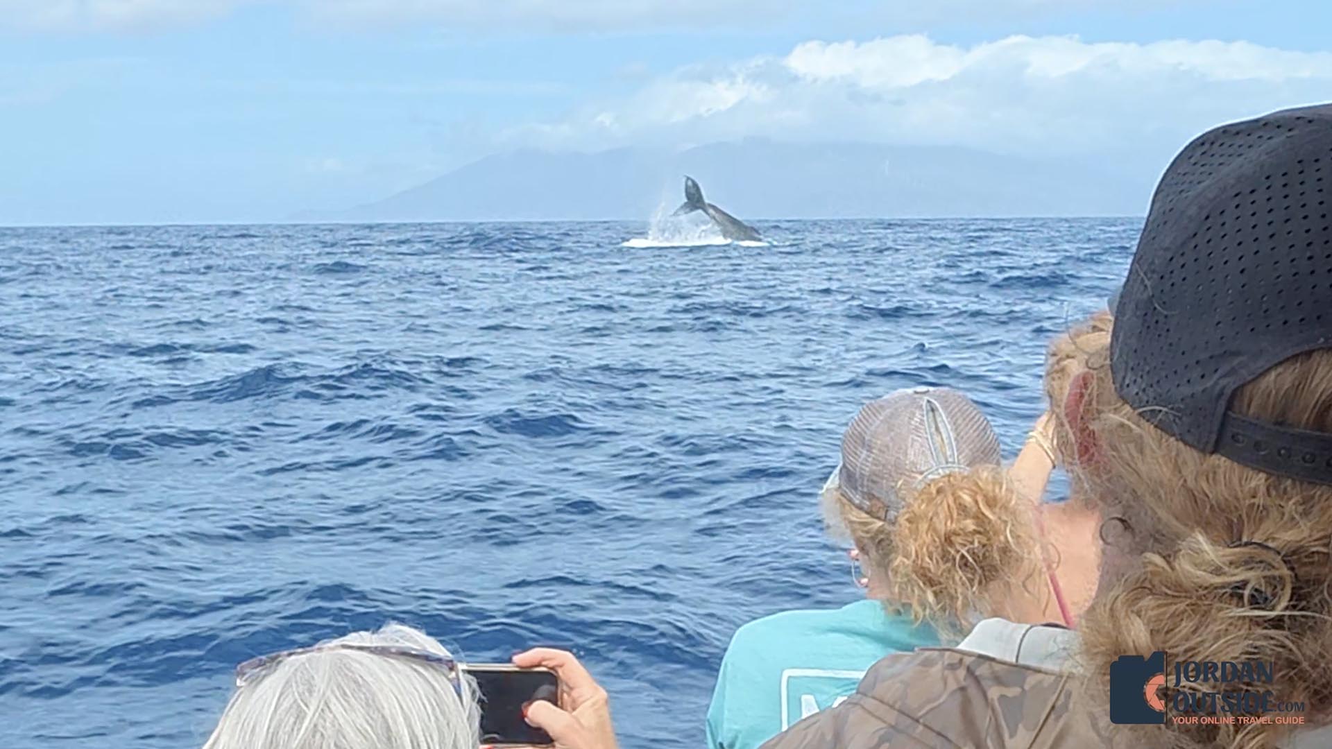 Whale Watching Excursion, Maui