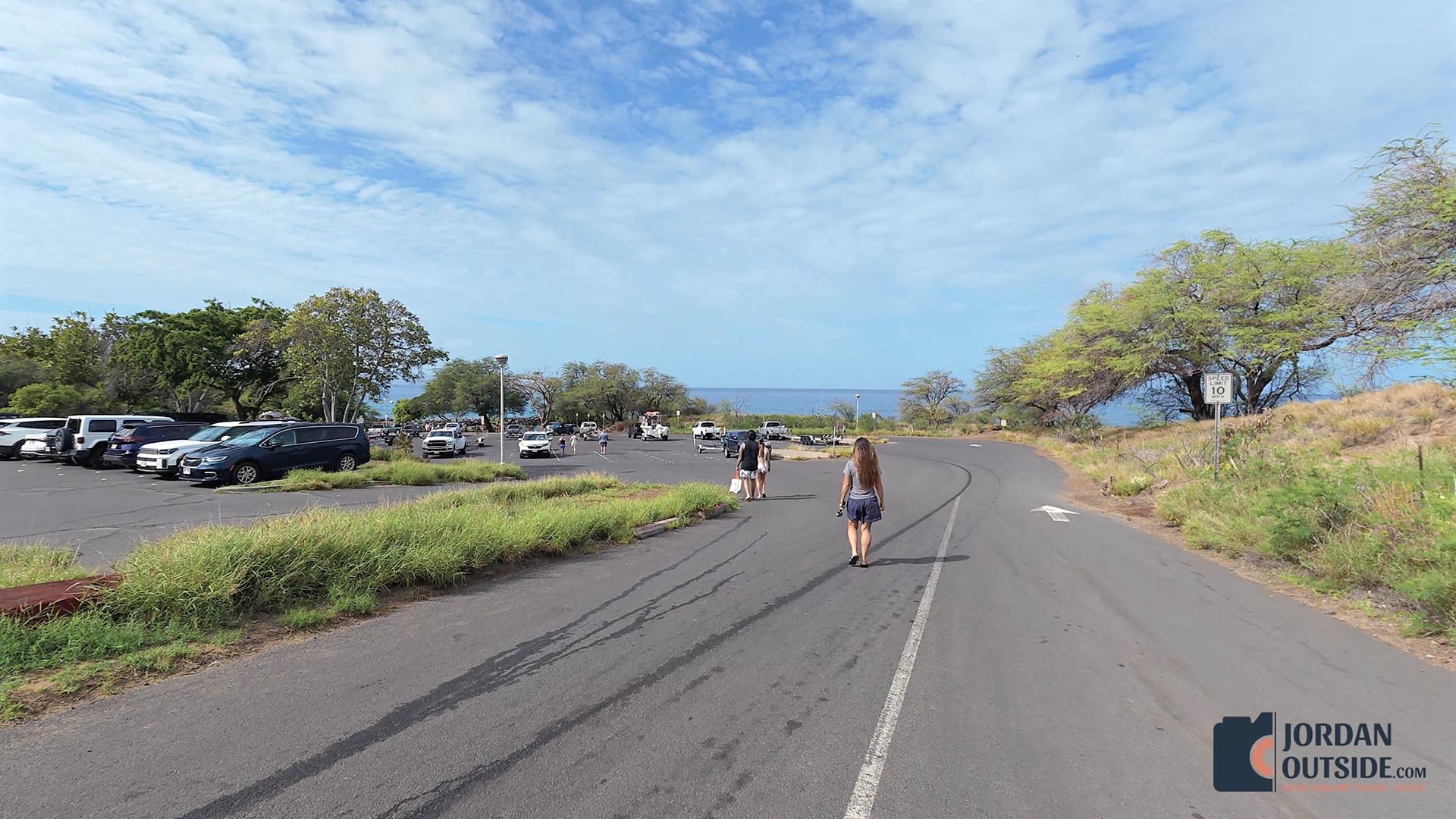 Whale Watching Excursion, Maui