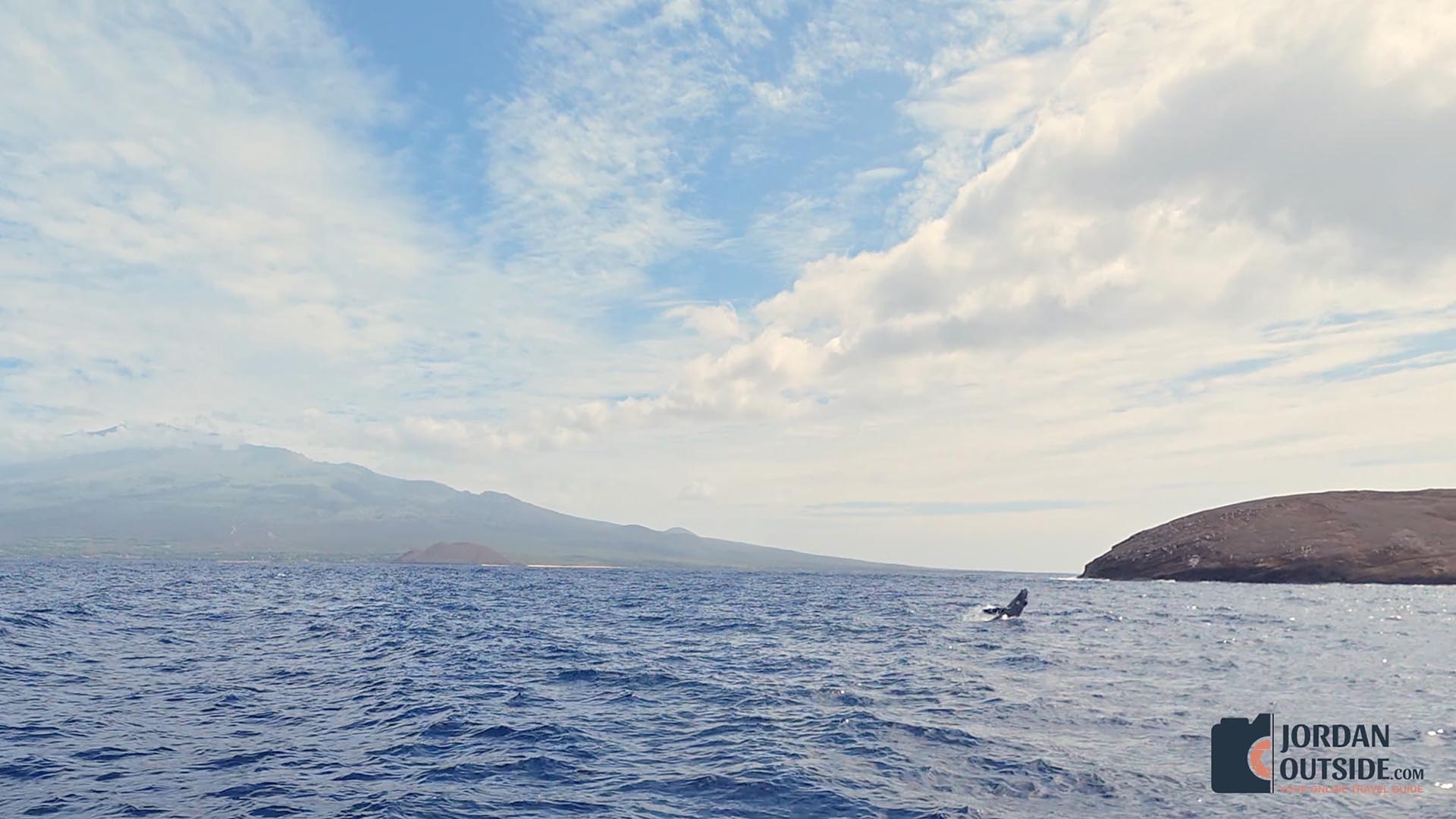 Whale Watching Excursion, Maui