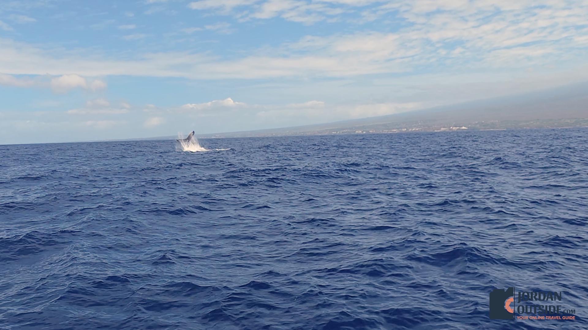 Whale Watching Excursion, Maui