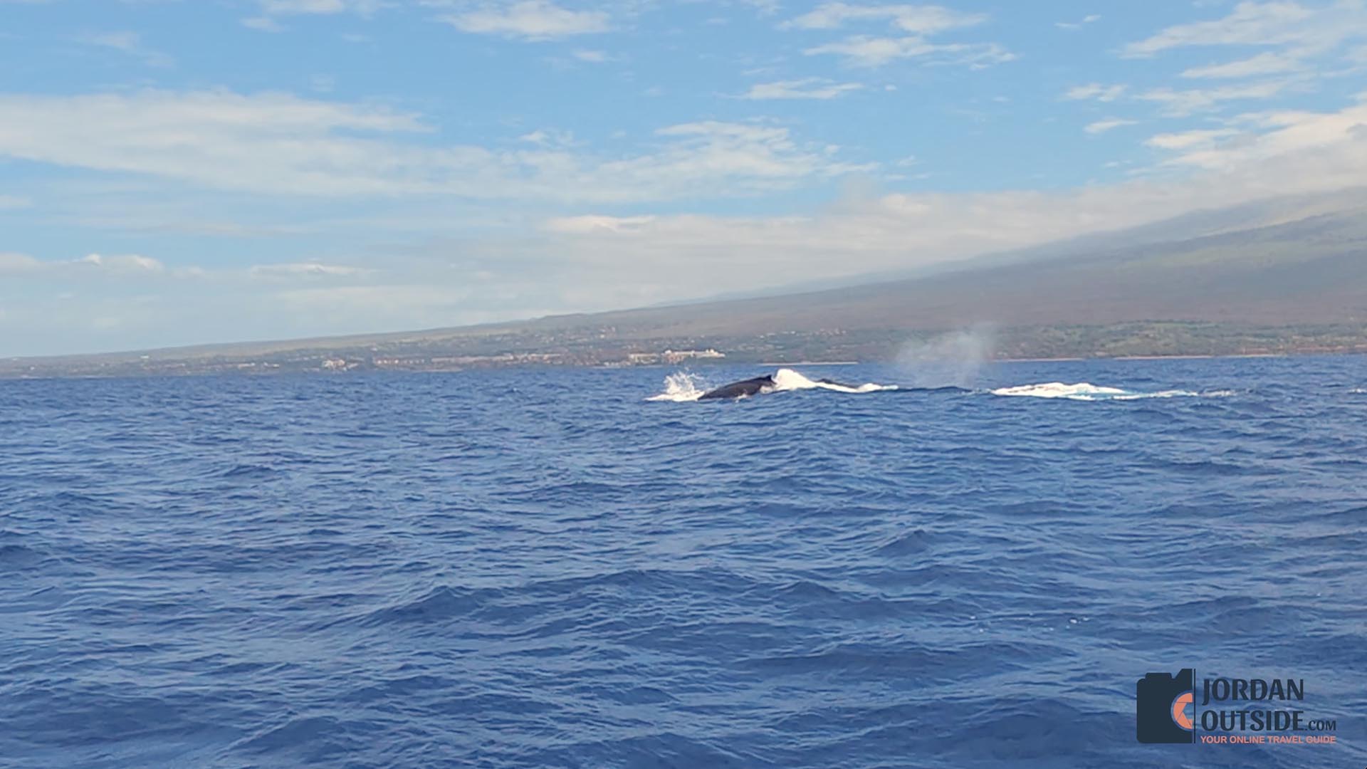 Whale Watching Excursion, Maui