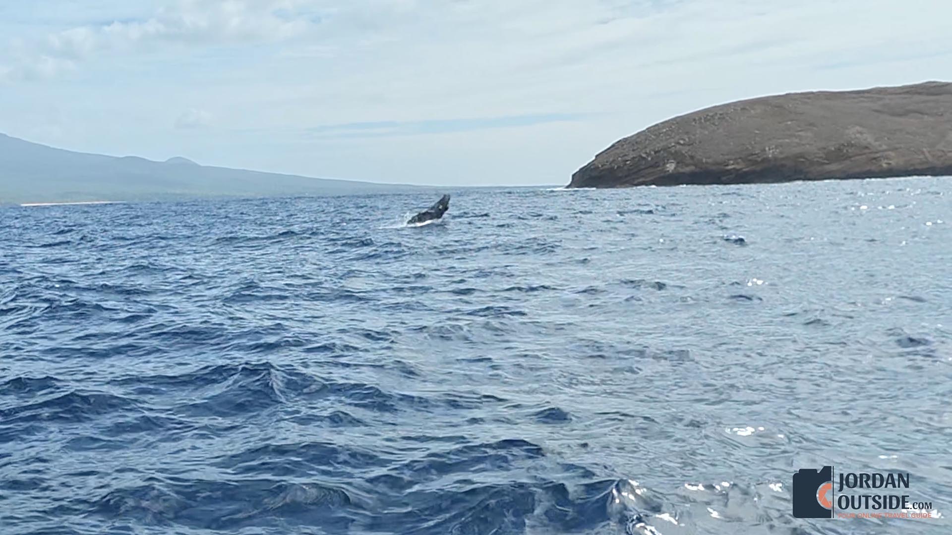 Whale Watching Excursion, Maui