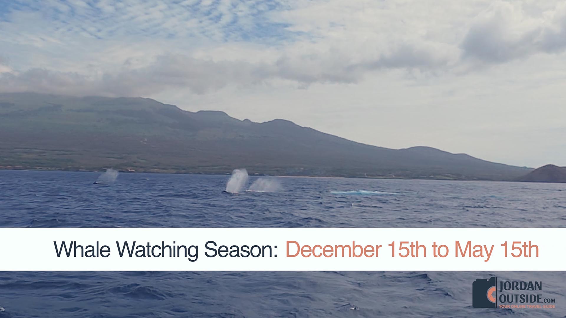 Whale Watching Excursion, Maui