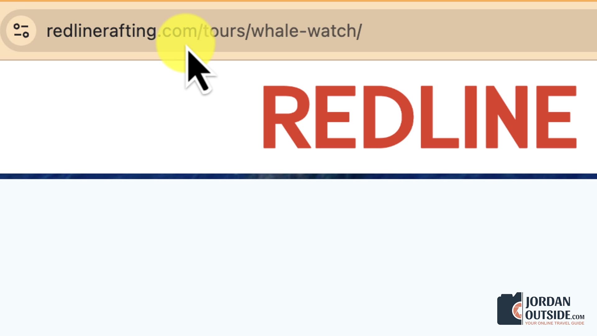 Whale Watching Excursion, Maui