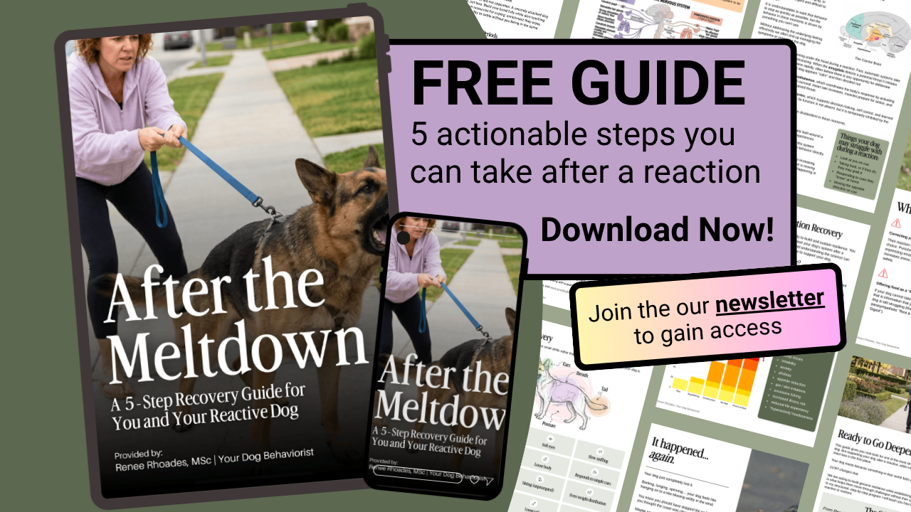 After the Meltdown - Free Guide by Renee Rhoades MSc