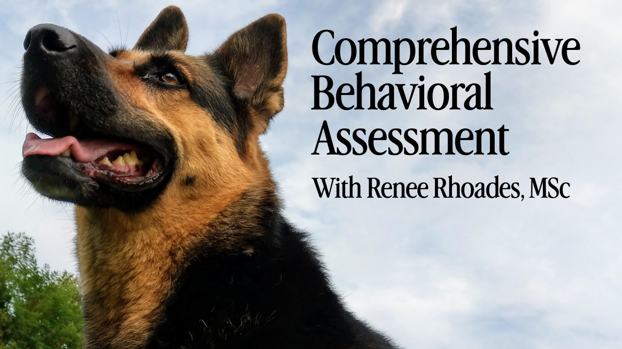 Comprehensive Behavioral Assessment