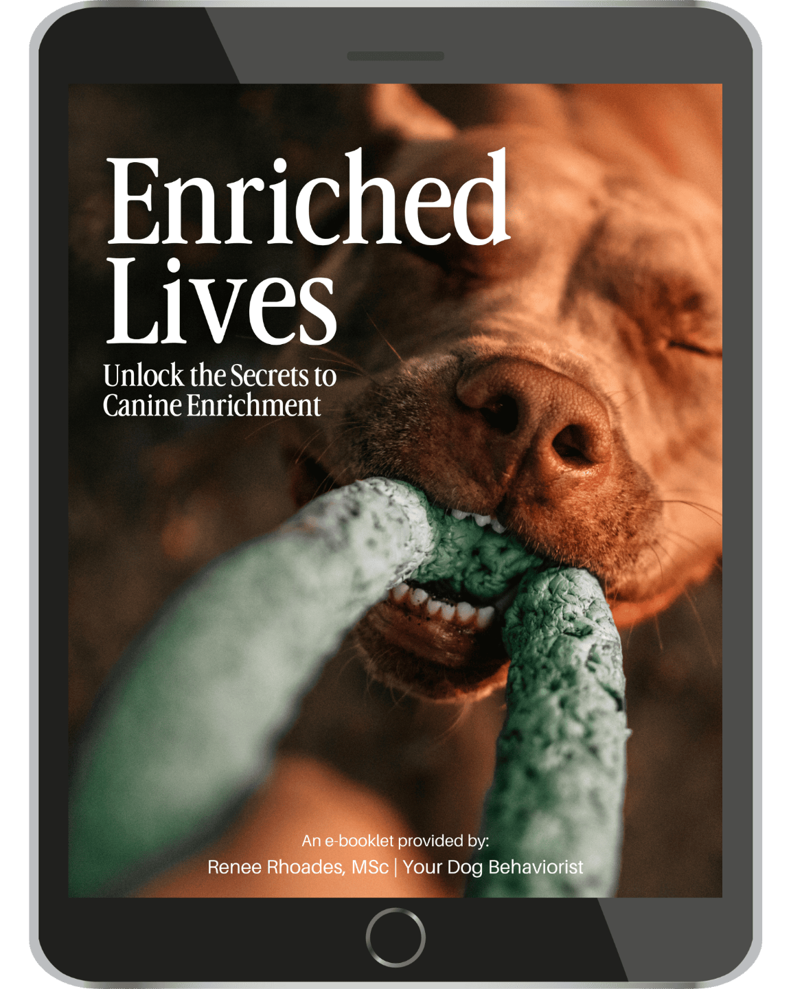Enriched Lives Guide Cover