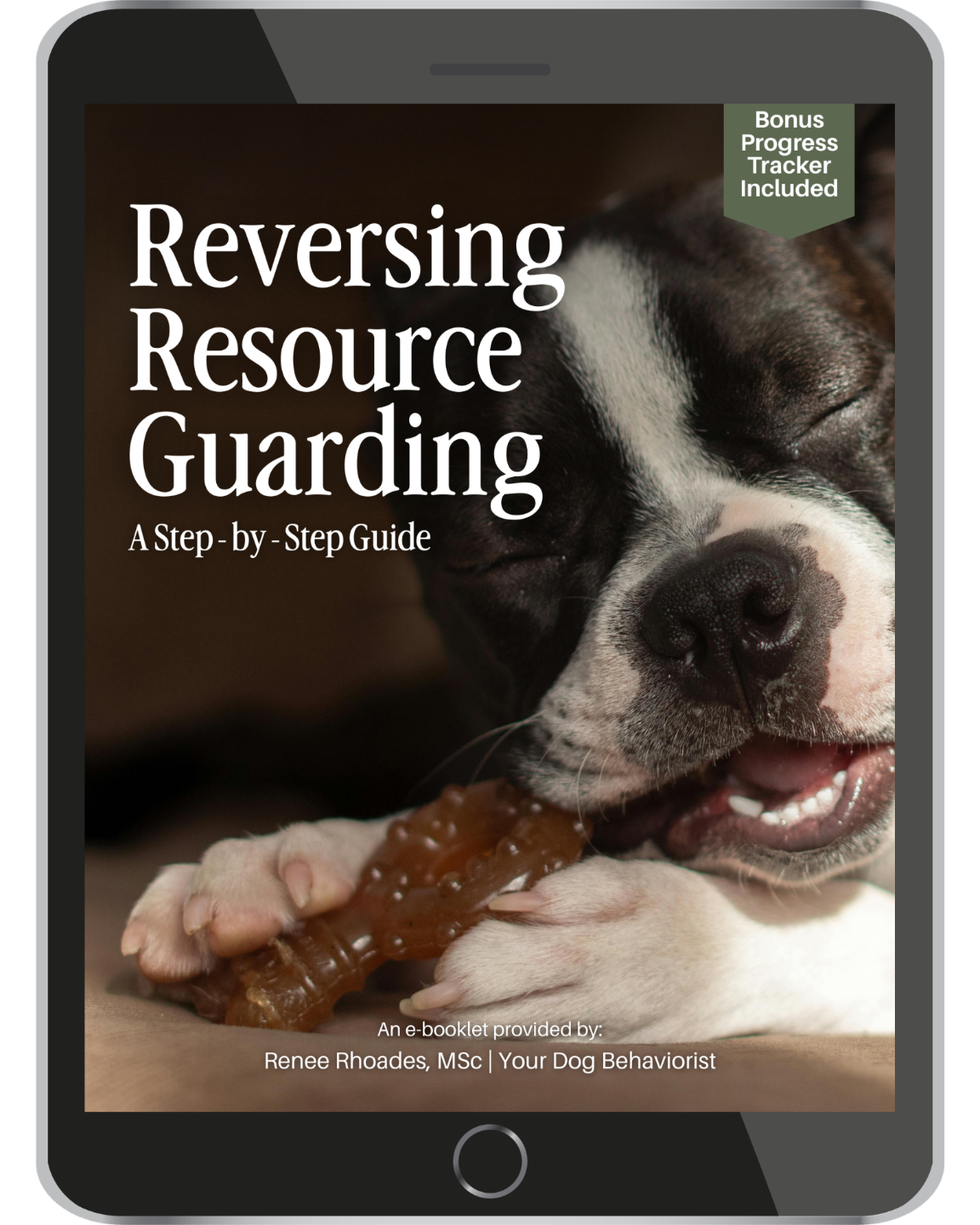 Reversing Resource Guarding Guide Cover