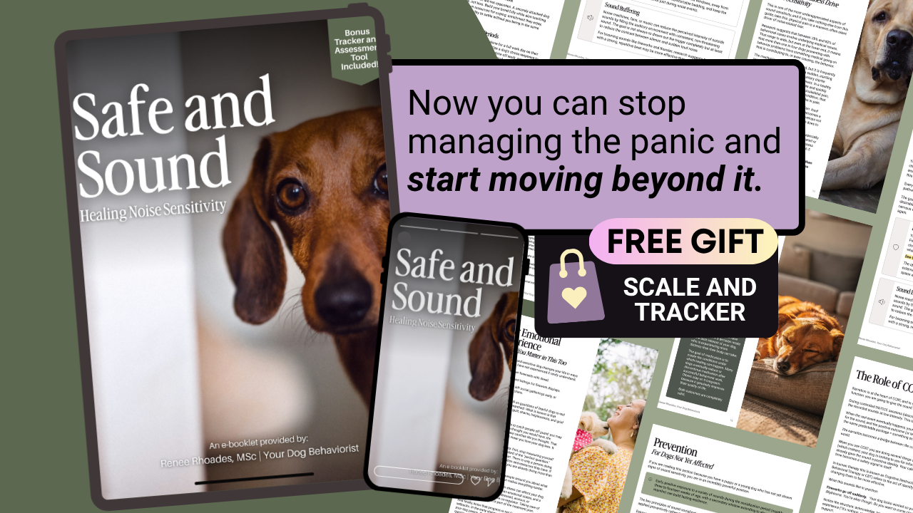 Safe and Sound Guide Cover