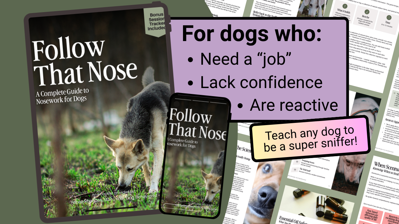 Follow That Nose Guide Cover