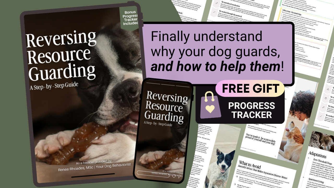 Reversing Resource Guarding Cover