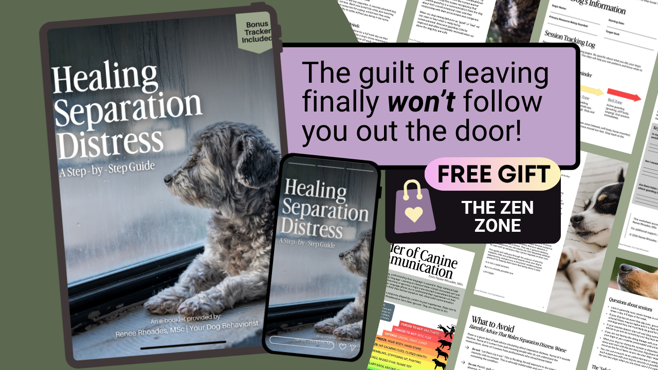 Healing Separation Distress Cover