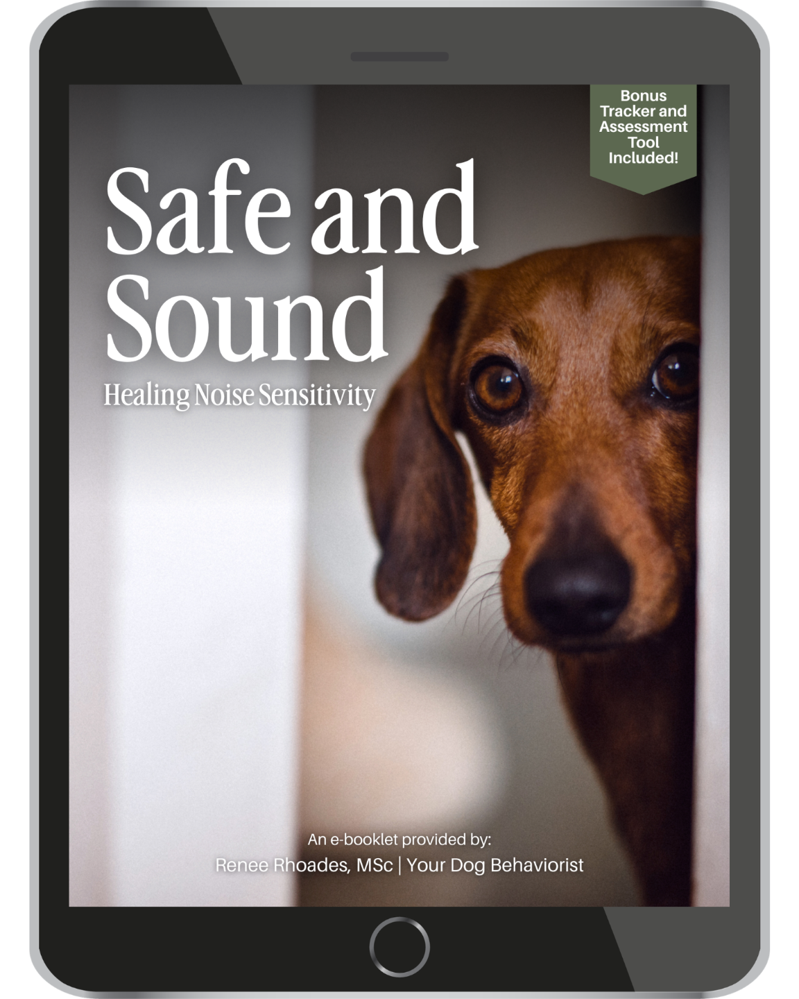 Safe and Sound Guide Cover