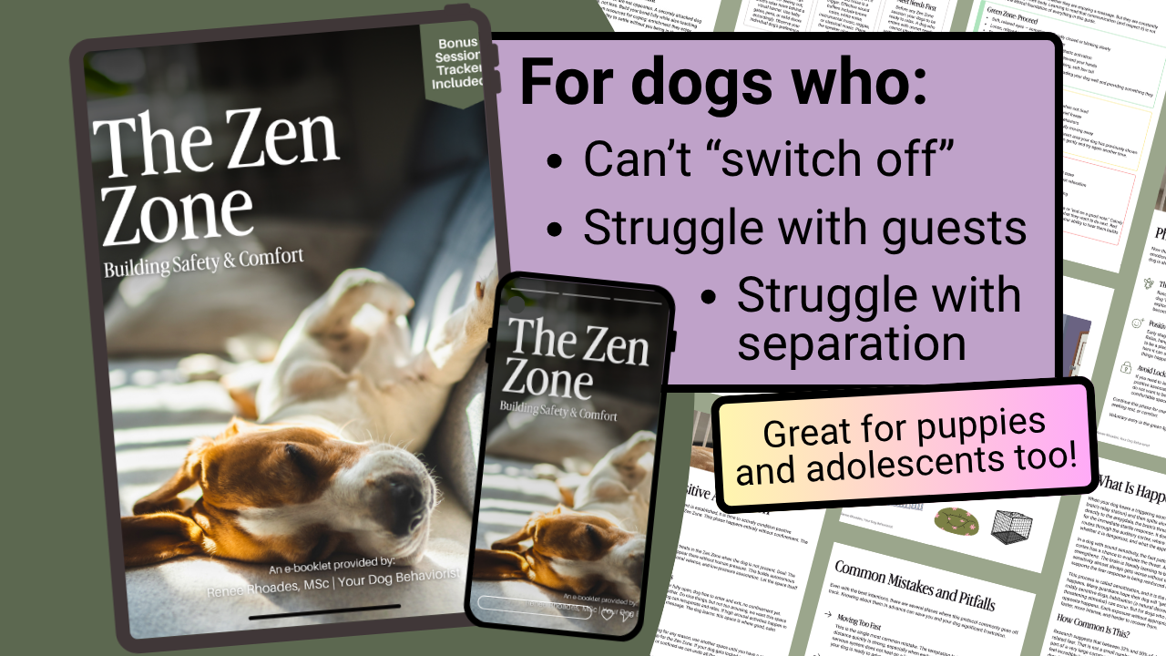 The Zen Zone Guide Cover