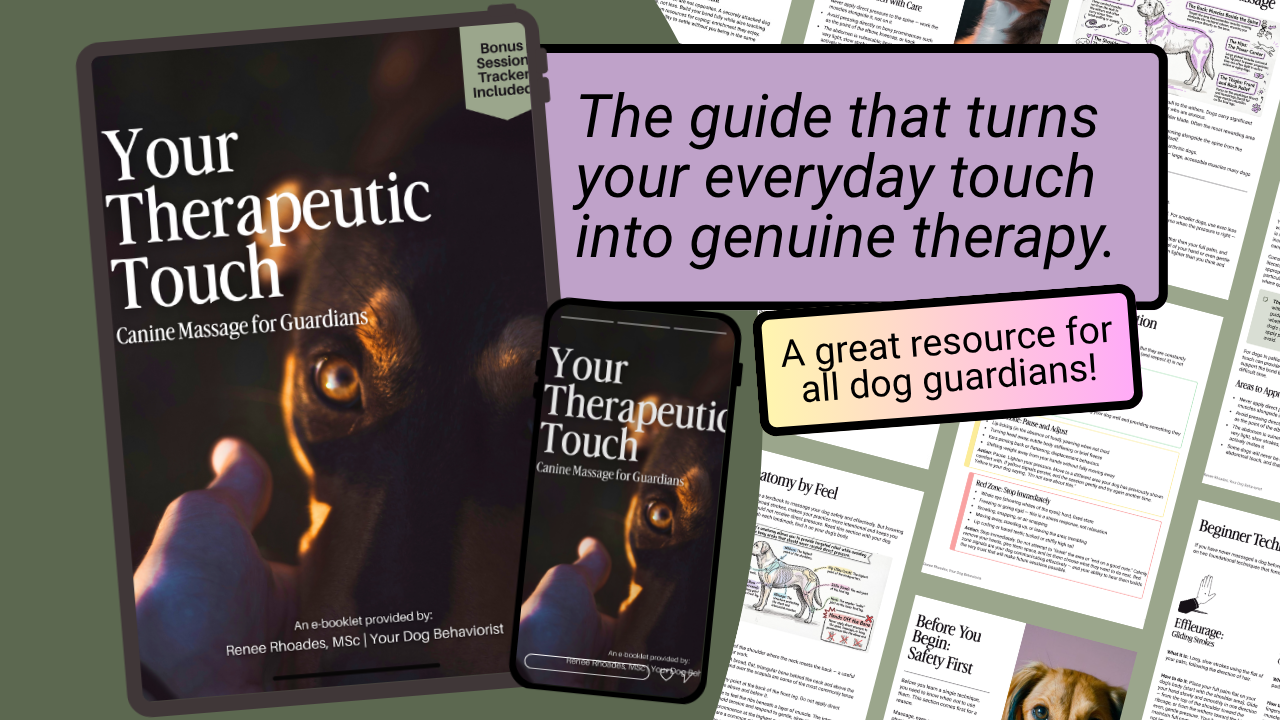 Your Therapeutic Touch Guide Cover