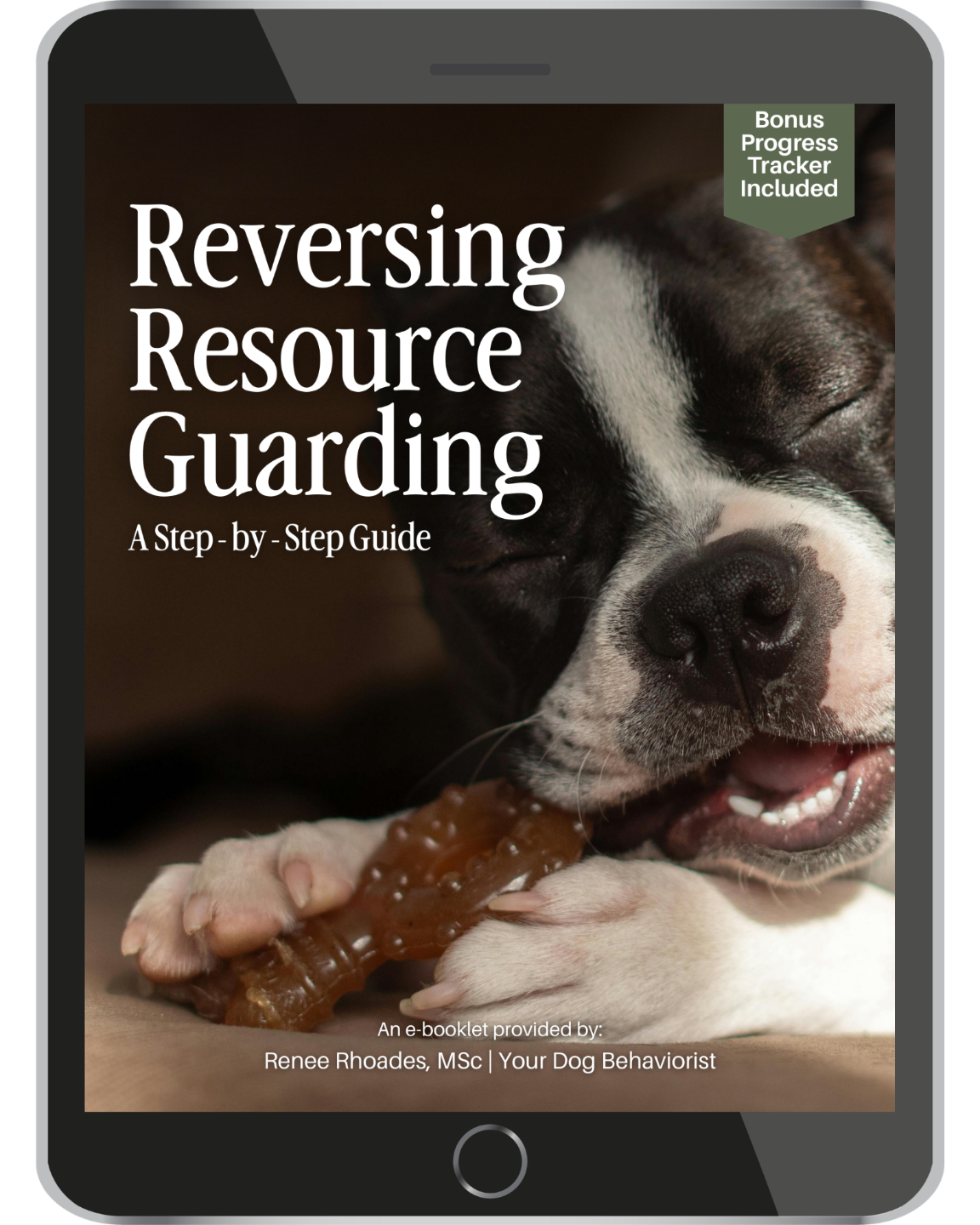Reversing Resource Guarding Guide Cover