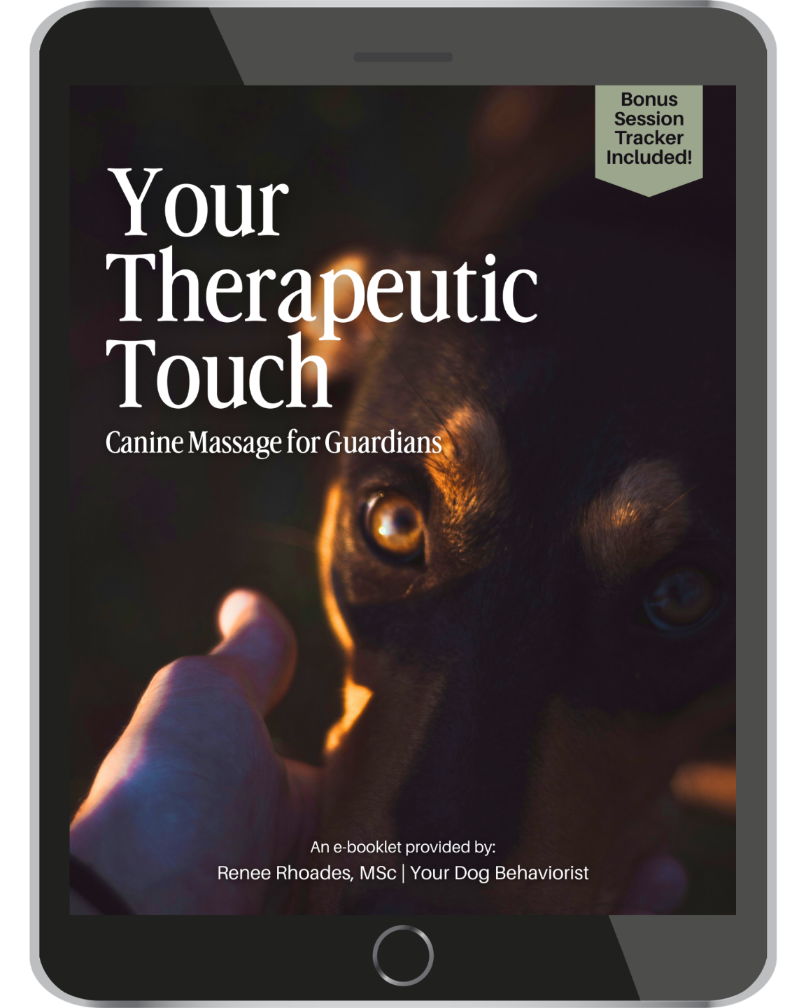 Your Therapeutic Touch Guide Cover