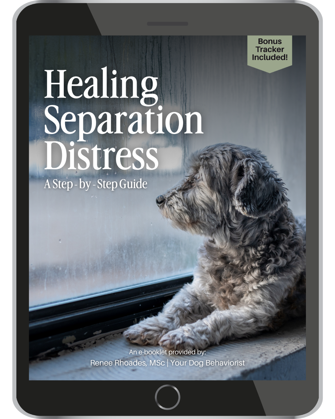 Healing Separation Distress Guide Cover