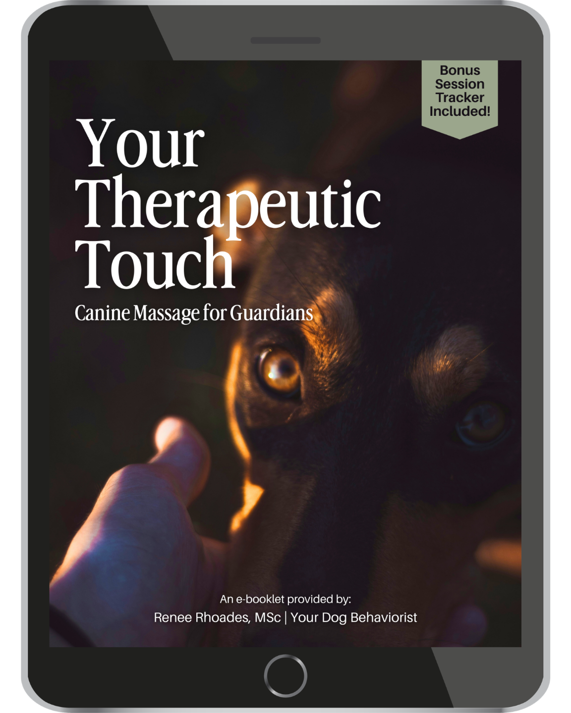Your Therapeutic Touch Guide Cover
