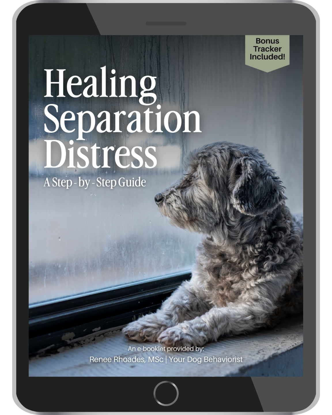 Healing Separation Distress Guide Cover