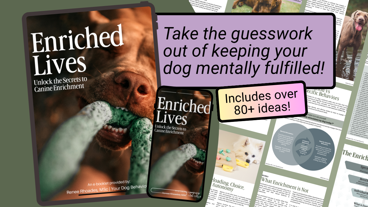 Enriched Lives Guide Cover