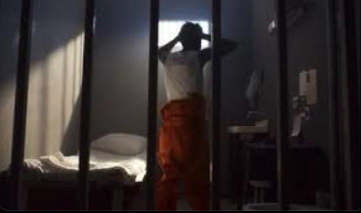 A framework for accountability, identity rebuilding, and leadership development.