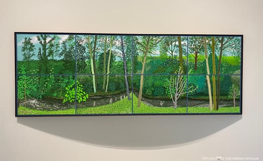 Mr and Mrs Clark and Percy van David Hockney