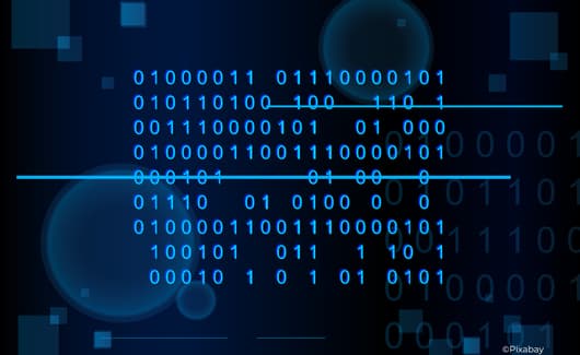 Foto van Susan Neiman