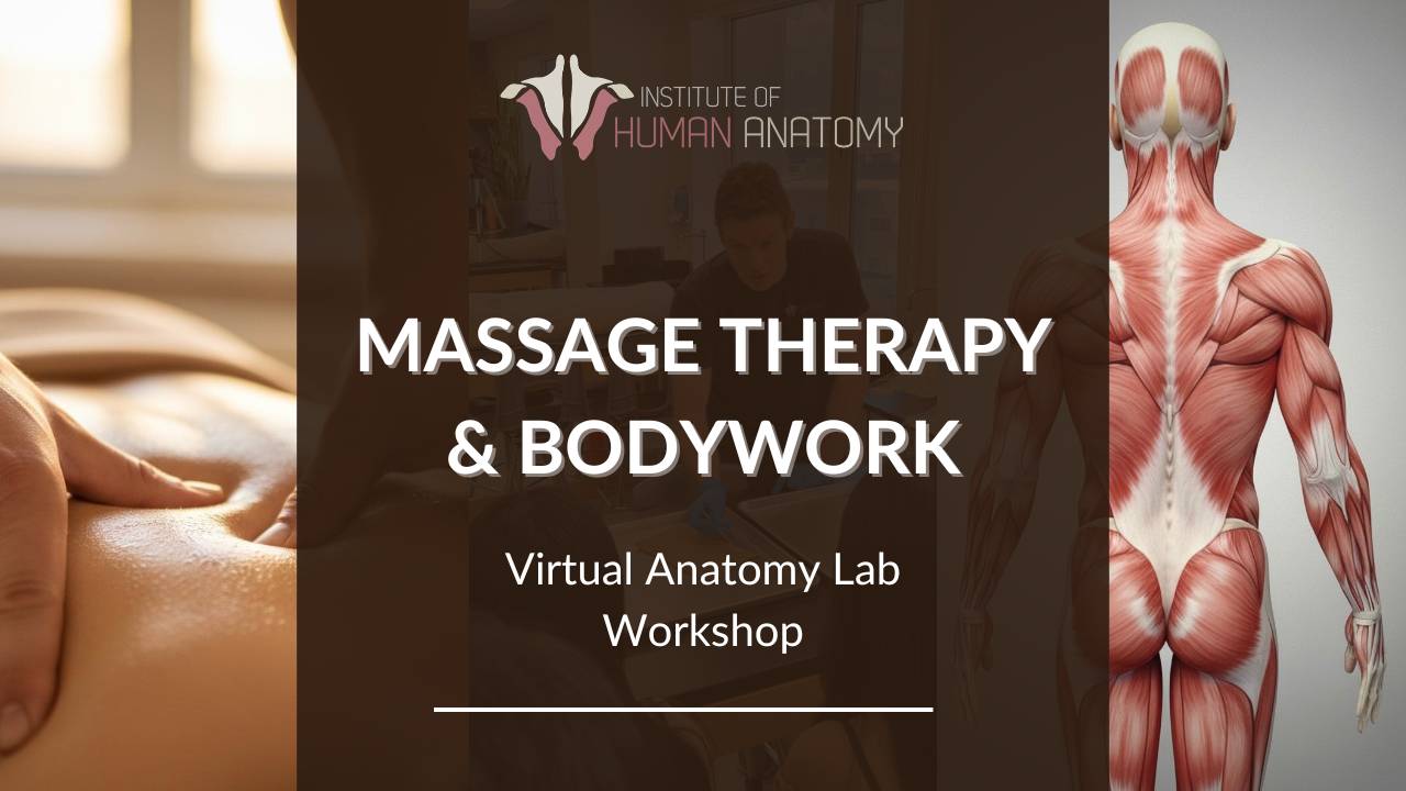 IOHA Massage Therapy & Bodywork Virtual Anatomy Lab Workshop