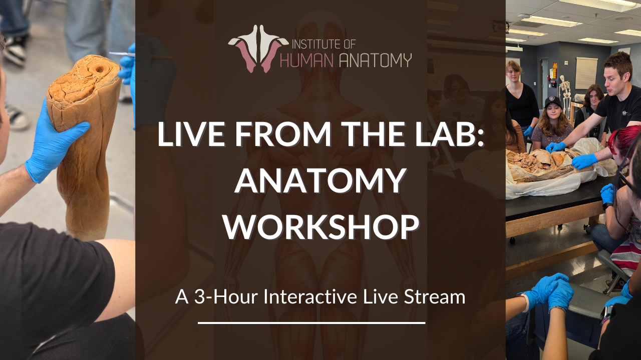 IOHA Live from the Lab: Anatomy Workshop