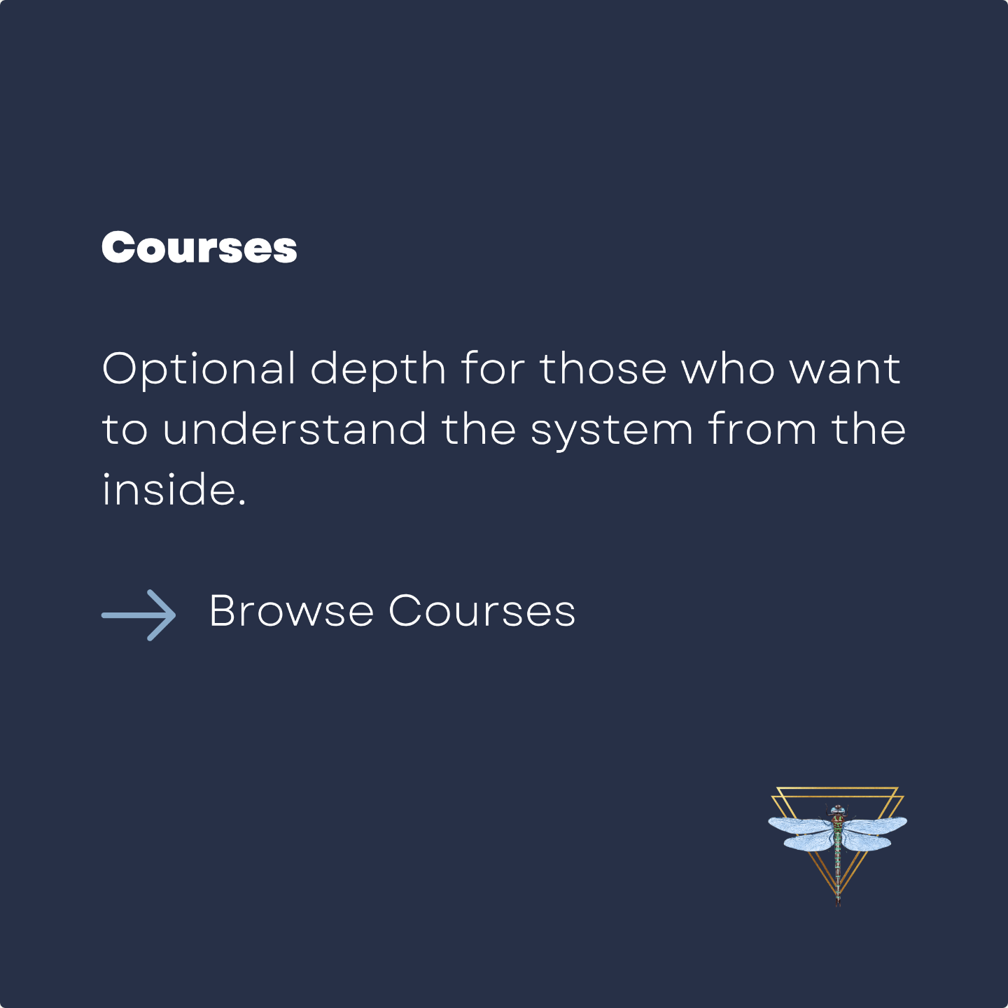 Courses exploring the IQF pattern recognition system and its structural foundations