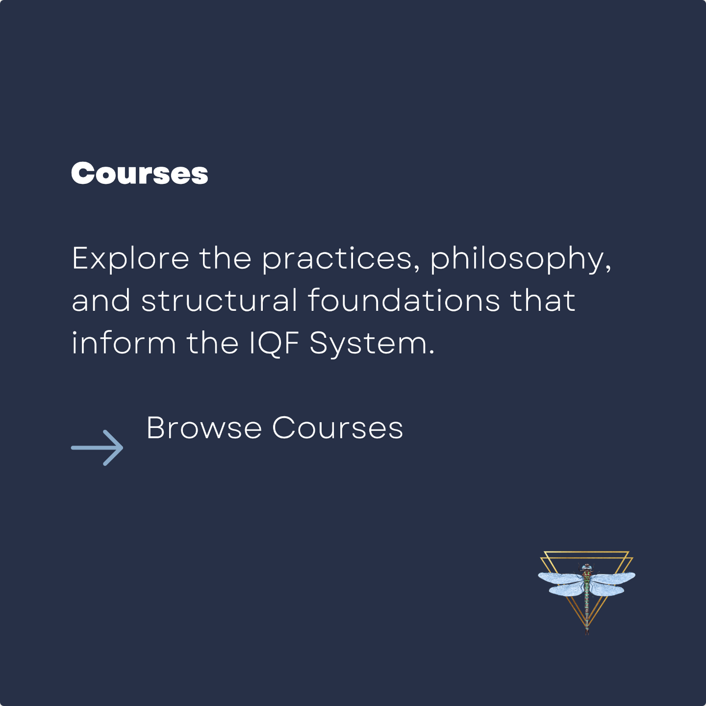 Courses exploring the IQF pattern recognition system and its structural foundations