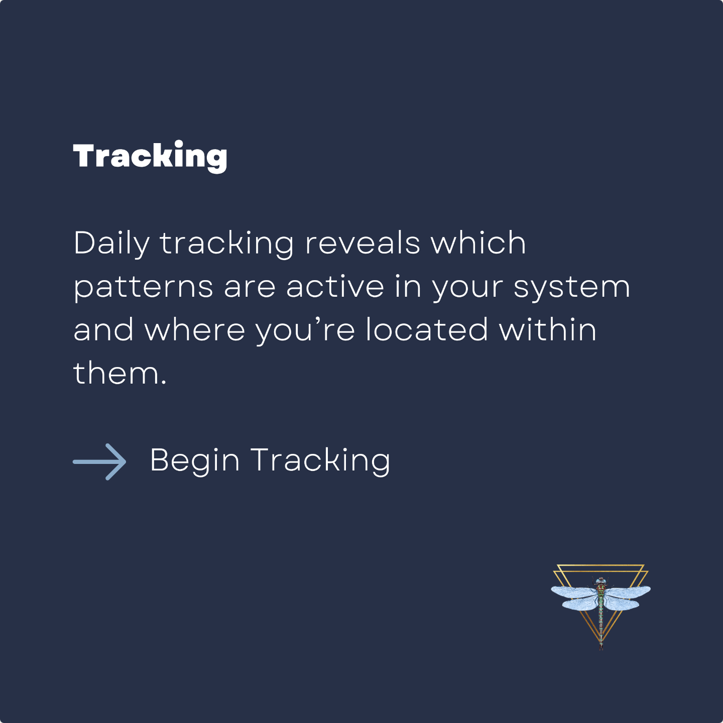 Daily tracking interface for recognizing active human patterns and coherence over time