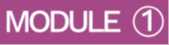 Module 1