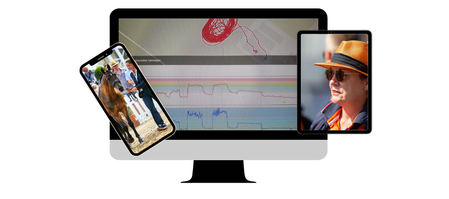 Paardenmassage licenties Massage HIppique