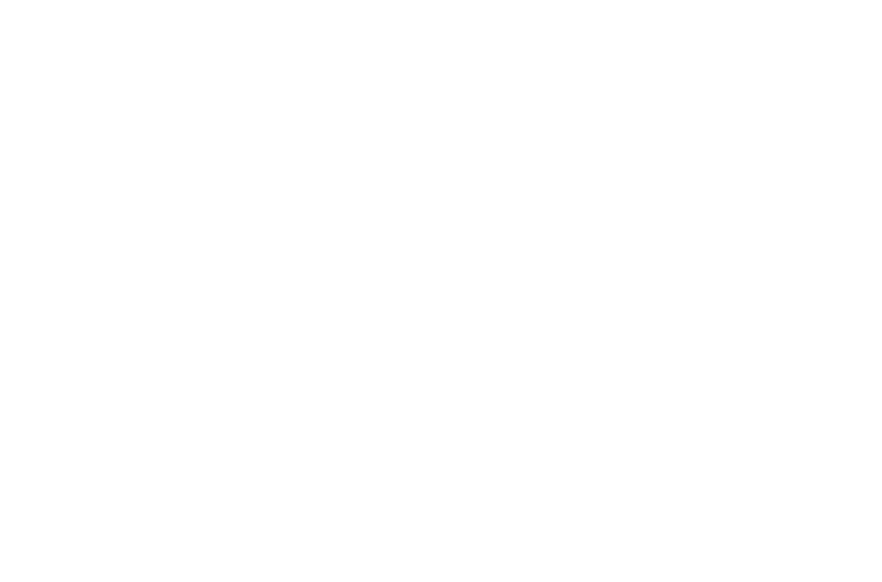 Olive Tree Logo