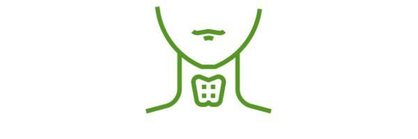 Thyroid